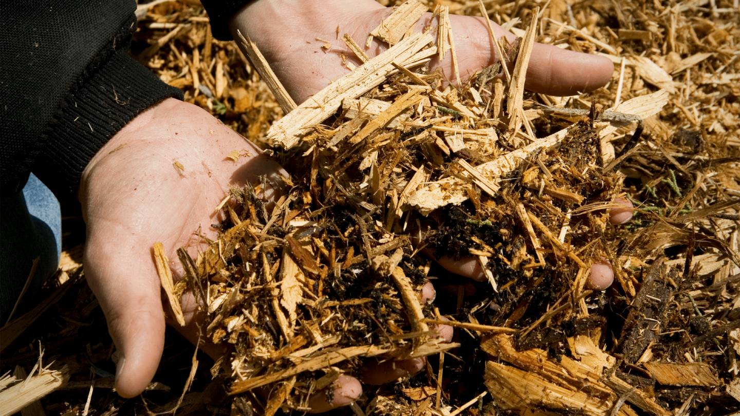 mulch-guide-everything-to-know